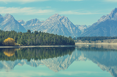 Somos especialistas en su seguridad