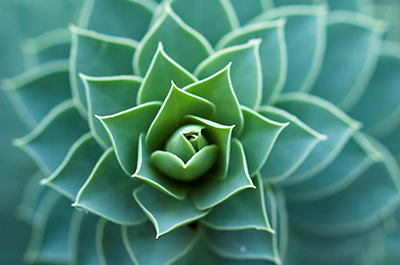 Cientos de clientes . Nos avalan.