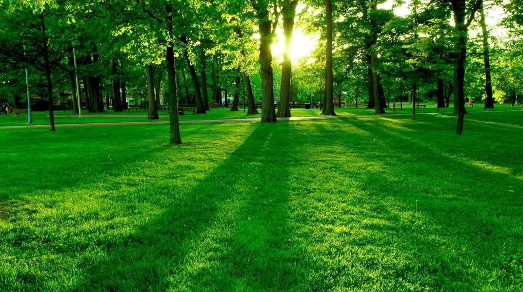 Trabajamos para su tranquilidad