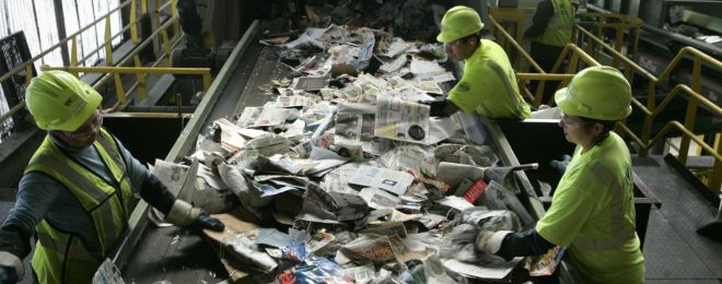 control plagas planta reciclaje