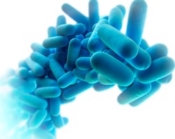 legionella