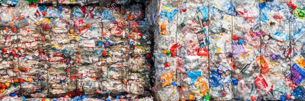 Microorganismos Reciclaje