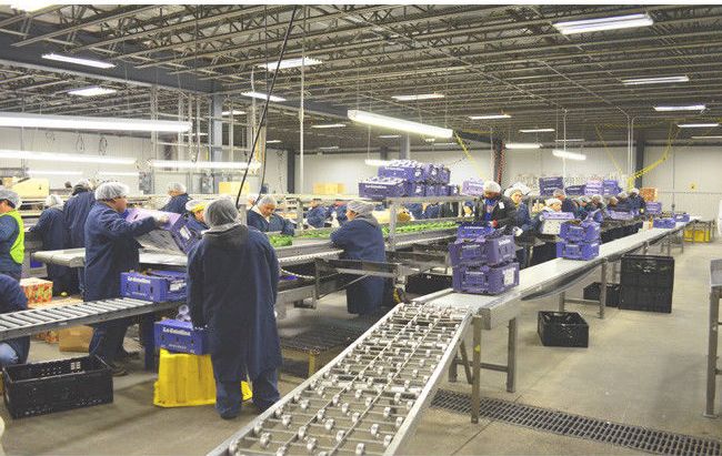 Procesadores de alimentos,